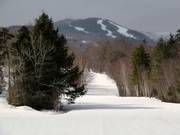 Toll House downhill run