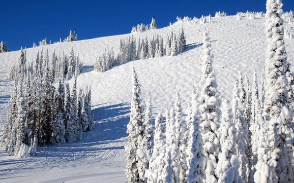 Ski resorts for advanced skiers and freeriding Interior Plateau – Advanced skiers, freeriders Sun Peaks