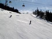 McCulloch on the south side