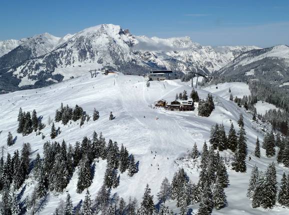 View of the slopes at the Zwieselalm