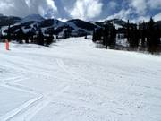 Groomed slope in the Kicking Horse ski area