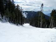 Humpty Dumpty downhill run