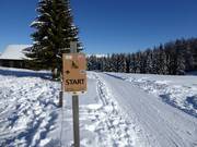 Tip for children  - Toboggan runs