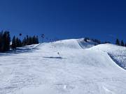 Schatzberg downhill run