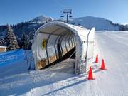 Tapis des Chaux - People mover/Moving Carpet with cover