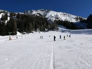 Spacious beginner area Kaserwald