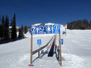 Discovery Carpet - People mover/Moving Carpet