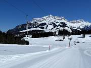 Untertrübsee - T-bar