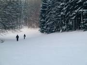 Easy slope at the Hirtenteich lift