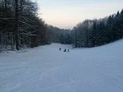 Easy slope at the Hirtenteich lift