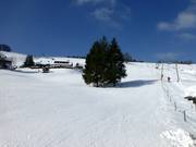 Wide slope at Rosshang