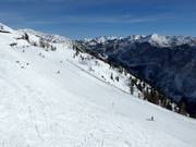 View of the slopes at Loser Alm