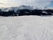 Easy slope no. 7 Trainer at the Albeinalifts