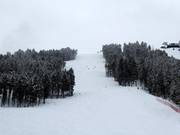 Difficult slope Wolverine