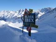 Warning: extremely steep Black Ibex slope