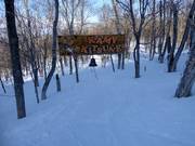 Tip for children  - Kamp Kitsune