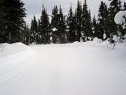Cross-country trails at the Silver Star Mountain Resort