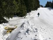 #10 Snezhanka - Rope tow/baby lift with low rope tow