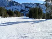 Easy Gammeringabfahrt