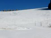 Expansive slope beneath the Gipfel lift (lift to the peak)