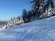 Groomed slope at Mehliskopf