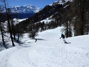 Intermediate slope to Törbel