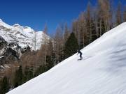 Black slope Grünboden