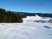 Slope on the left side of the double drag lift