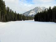 Wide and easy slopes at the double chairlift Bronze Chair