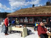 Mountain hut tip Wyllerstua