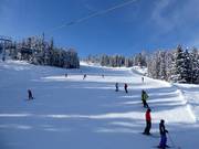Höfi run at Hauser Kaibling