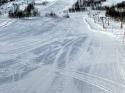 Beginner area at the Mikkel and Mikkeline button lifts