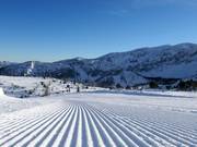 Very good slope grooming