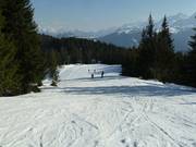 Slope at the Sattelkurvenlift