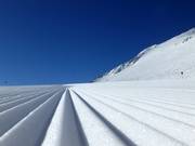 The grooves that mean the world!