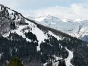 Forest runs in Ayre Barèges