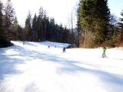 Families and children love the easy slopes