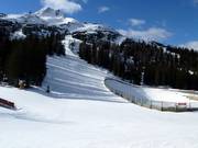 The Alm descent ends at the Gamsjet