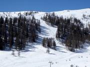Mogul slopes at Speiereck