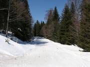 Cross-country skiing in Pamporovo