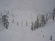 Downhill Upper International