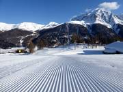 Perfectly groomed slopes in the Zuoz ski area
