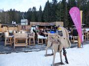 Après-ski tip Gamsstadl