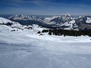 Challenging Franz Heinzer run