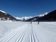 Wonderful cross-country trails in Goms