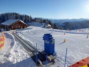 Conveyor belt Pardiel