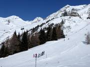 Valley run from Ankogel