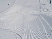 Morning corduroy on the Rhododendron