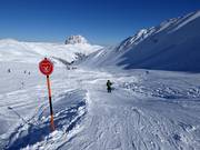 Kogel-Mogel wave track