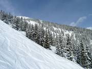 Magnificent deep-snow areas await advanced skiers